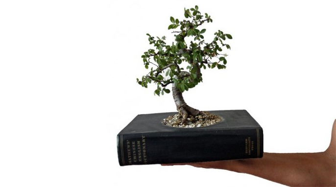 Pretvorite vašu staru knjigu u vazu za biljke